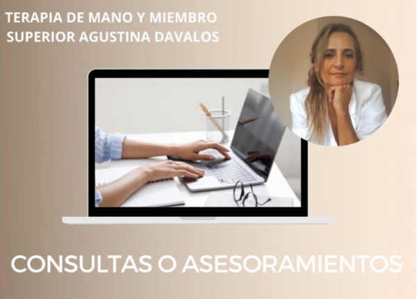 consulta o asesoramiento